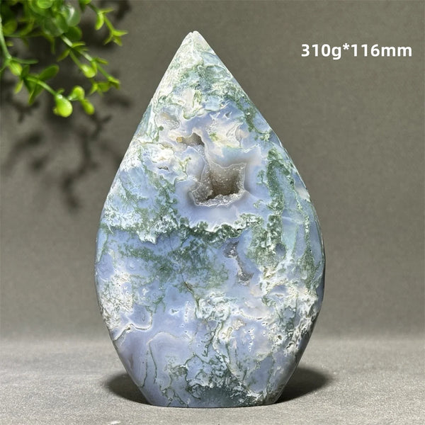 Green Aquatic Plant Agate-ToShay.org
