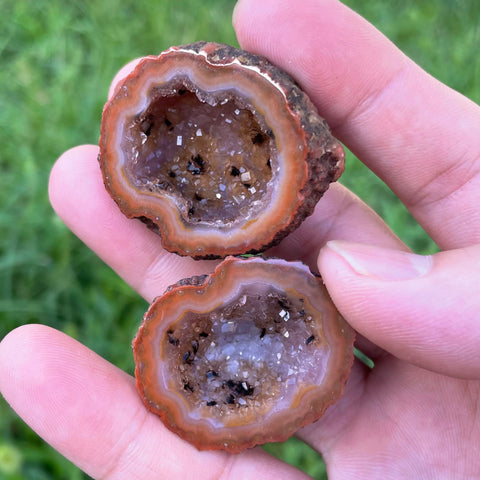 Mixed Agate Geode Egg-ToShay.org