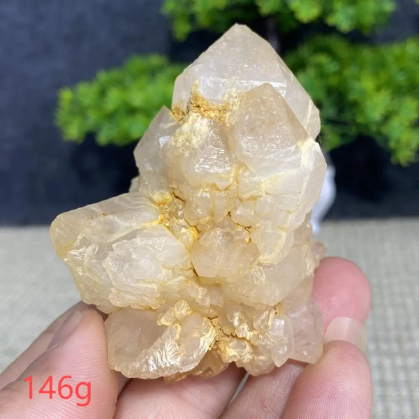 White Quartz Crystal Cluster-ToShay.org