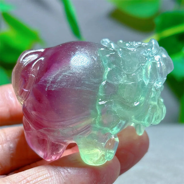 Rainbow Fluorite Dragon Turtle-ToShay.org