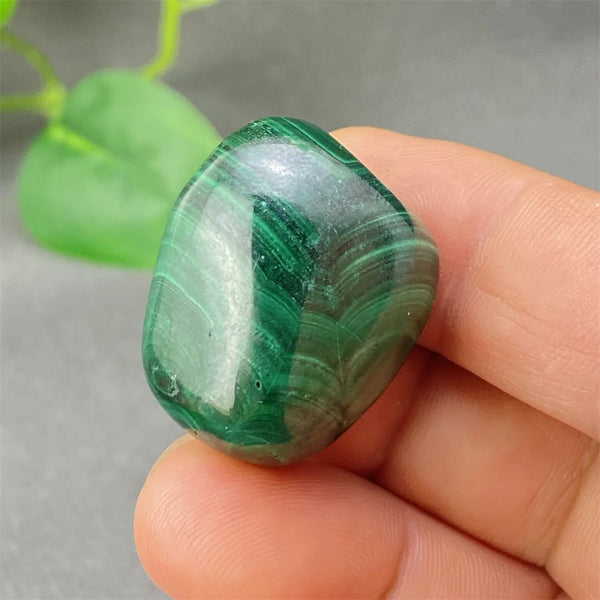 Green Malachite Tumbled Stone-ToShay.org