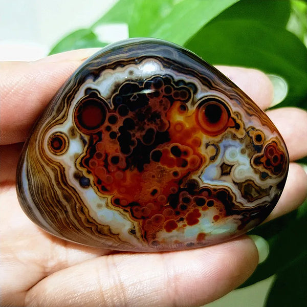 Red Lace Sardonyx Agate-ToShay.org