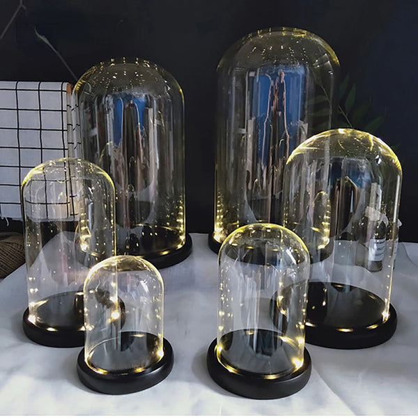 Glass Display Stands-ToShay.org