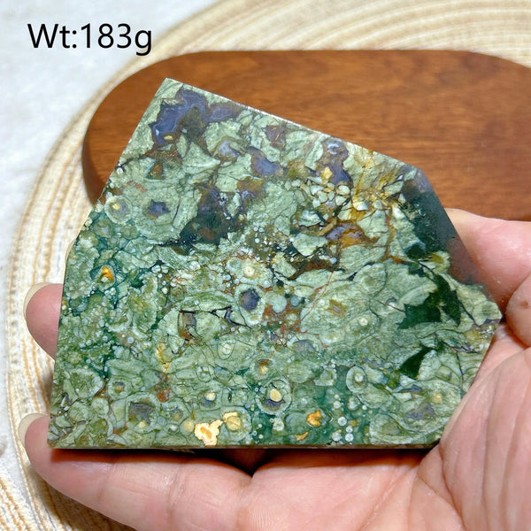 Green Rainforest Jasper-ToShay.org