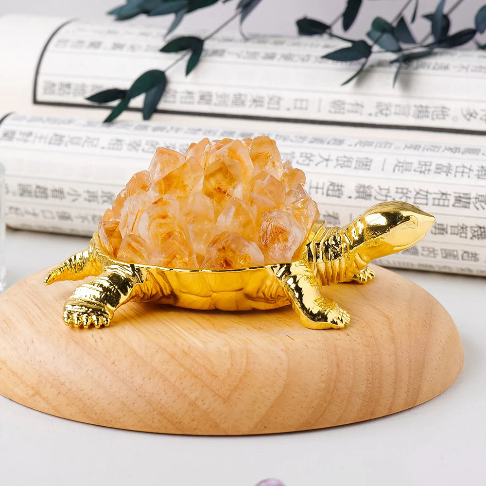 Mixed Crystal Turtles-ToShay.org