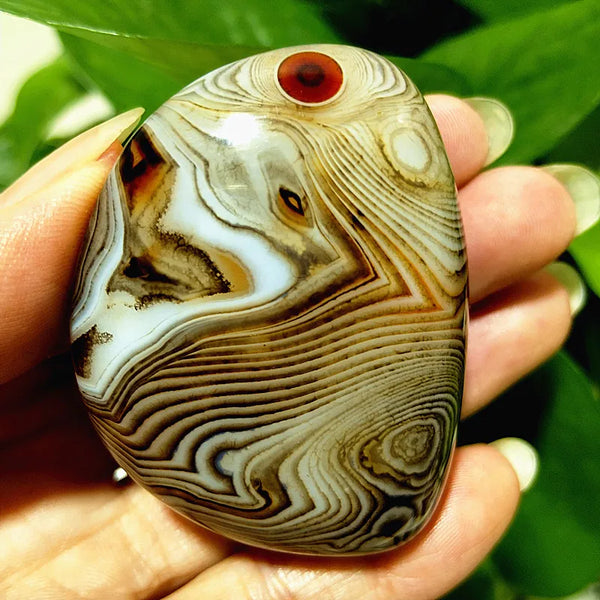 Red Lace Sardonyx Agate-ToShay.org