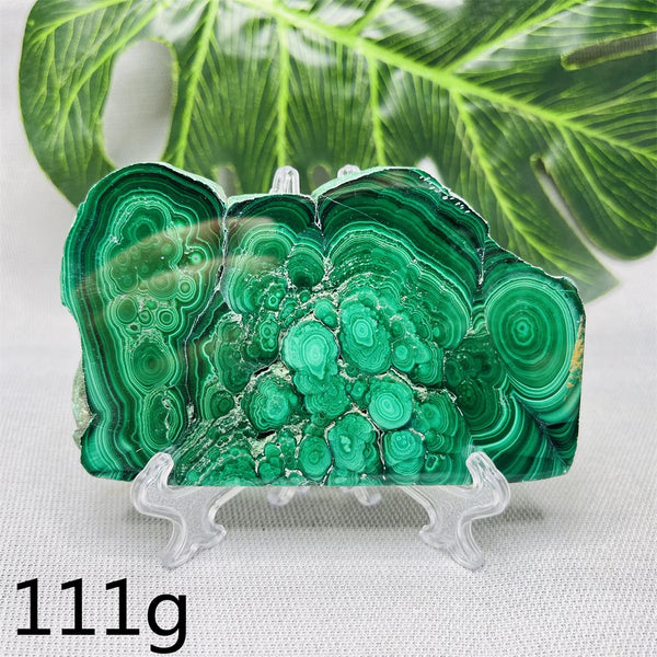 Green Malachite Slice-ToShay.org