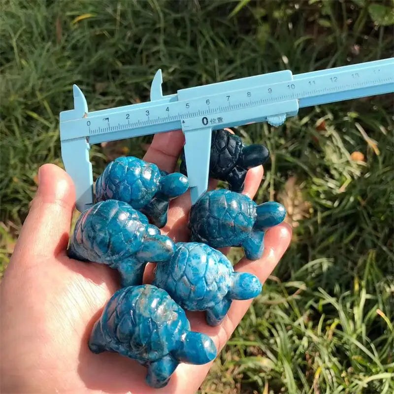 Blue Apatite Tortoise-ToShay.org