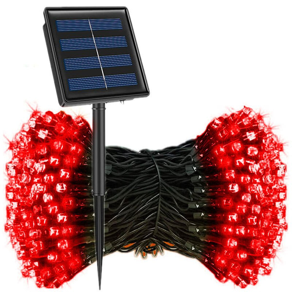 String Fairy Lights-ToShay.org