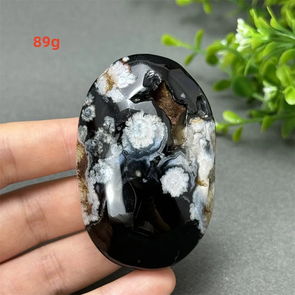 Black Cherry Blossom Agate-ToShay.org