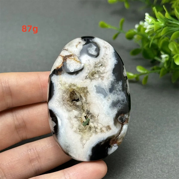 Black Cherry Blossom Agate-ToShay.org