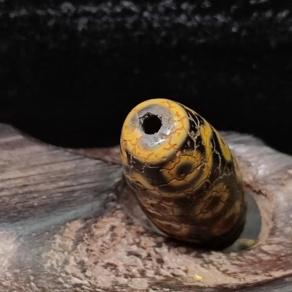 Tibetan Agate Eyes Dzi-ToShay.org