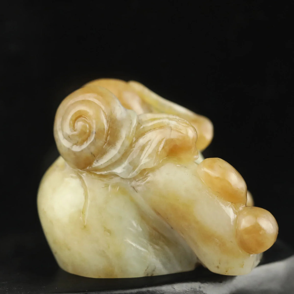 Yellow Jade Snail-ToShay.org