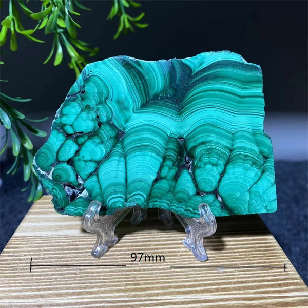 Green Malachite Slice-ToShay.org