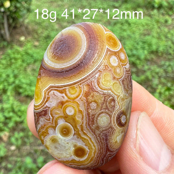 Brown Gobi Eye Agate-ToShay.org