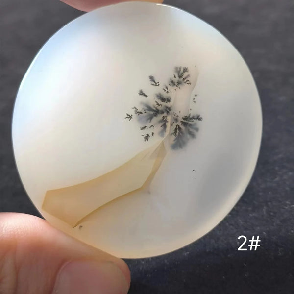 White Onyx Ocean Chalcedony-ToShay.org