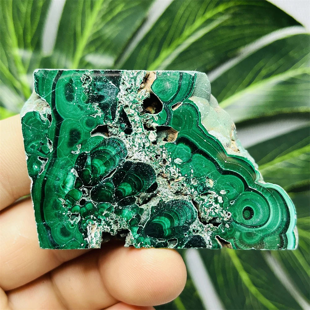 Green Eyes Malachite-ToShay.org