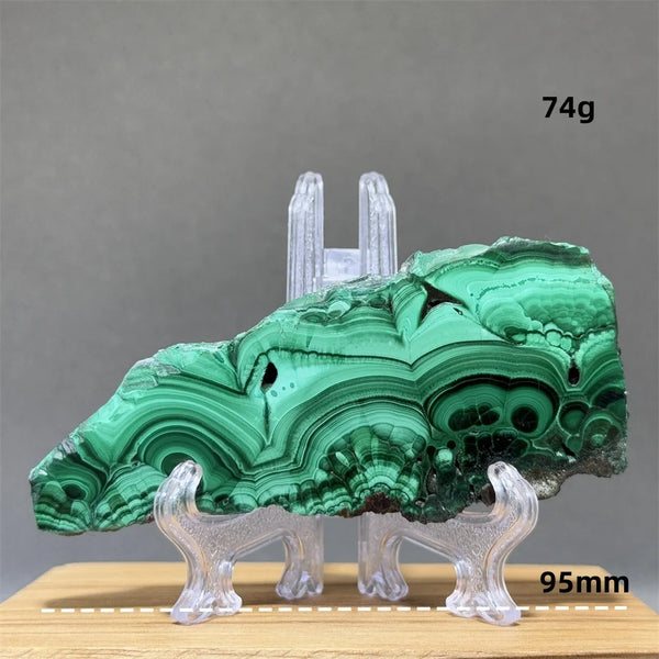 Green Malachite Slice-ToShay.org