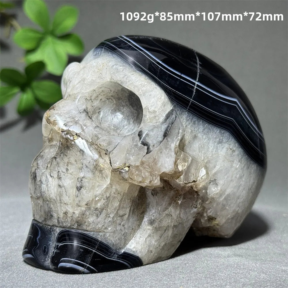 Black Agate Skull-ToShay.org