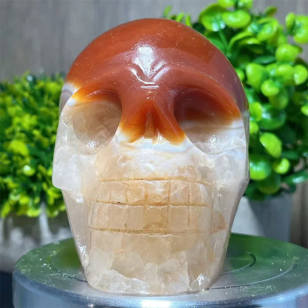 Red Carnelian Skull-ToShay.org