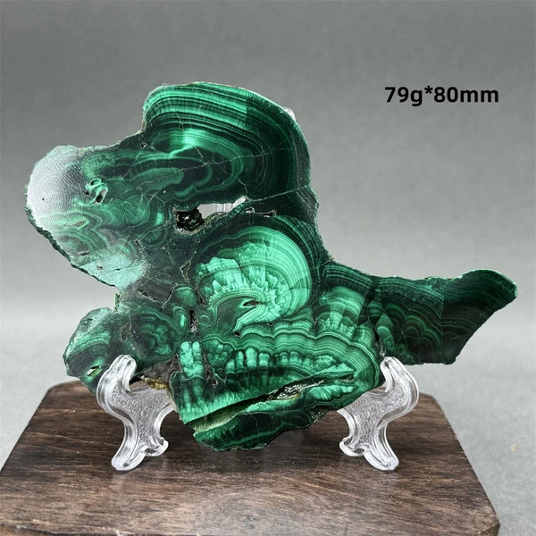 Green Malachite Raw Slice-ToShay.org