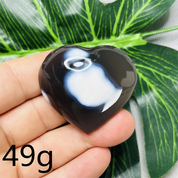 Black White Orca Agate-ToShay.org