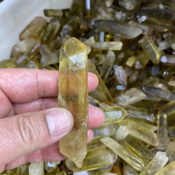 Smoky Lemurian Seed Chips-ToShay.org