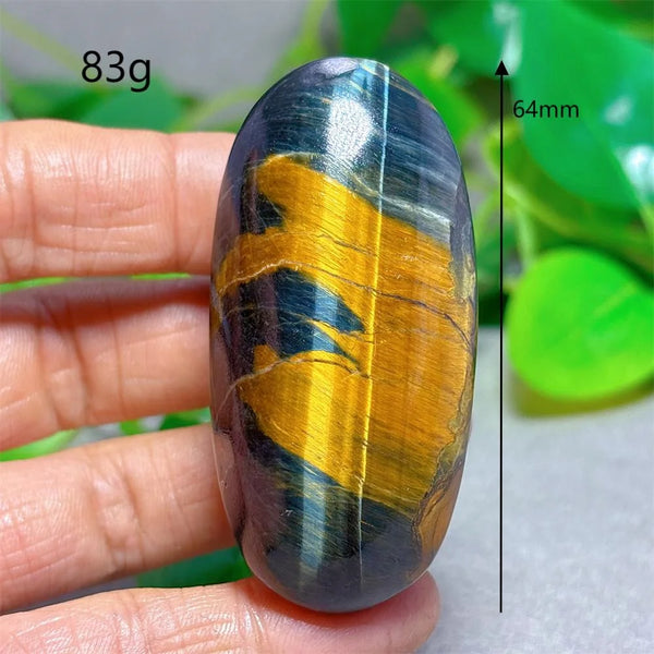 Blue Yellow Tiger Eye-ToShay.org