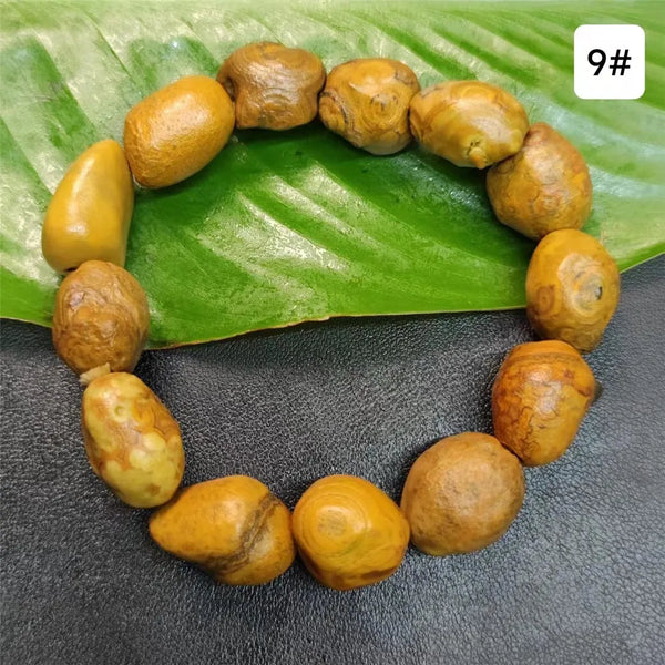 Yellow Money Stone Bracelet-ToShay.org