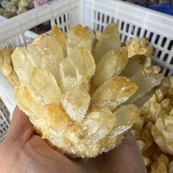 Green Citrine Quartz Crystal Cluster-ToShay.org