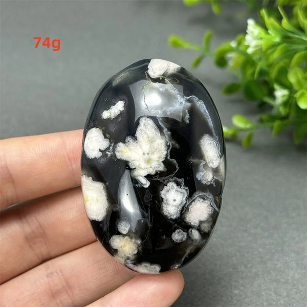 Black Cherry Blossom Agate-ToShay.org