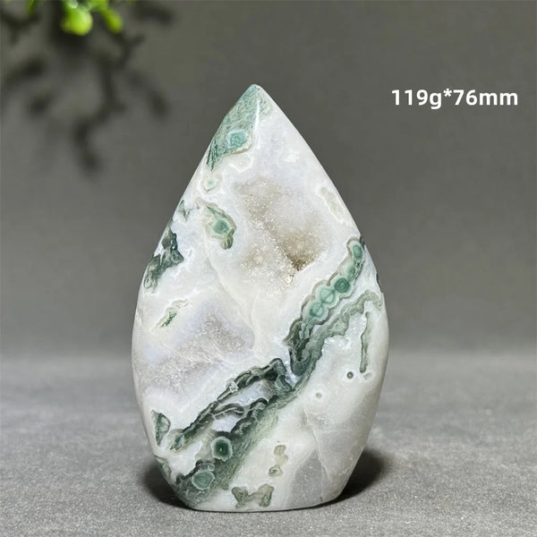 Green Aquatic Plant Agate-ToShay.org