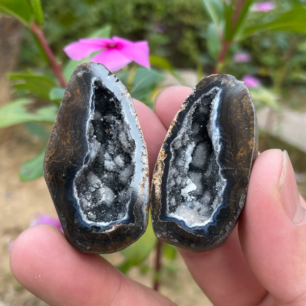 Mixed Agate Geode Egg-ToShay.org