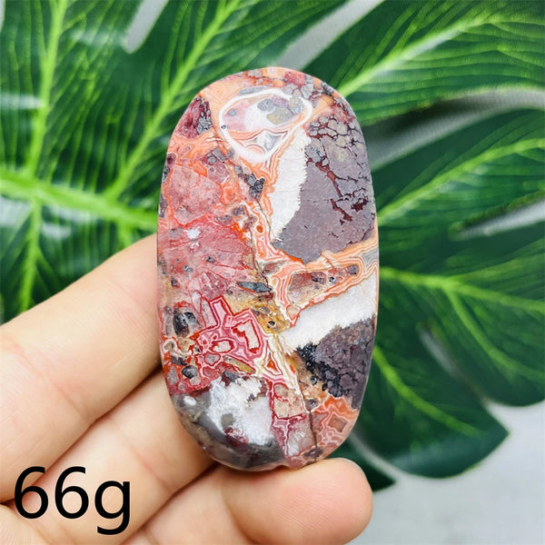Red Crazy Agate Palm Stone-ToShay.org