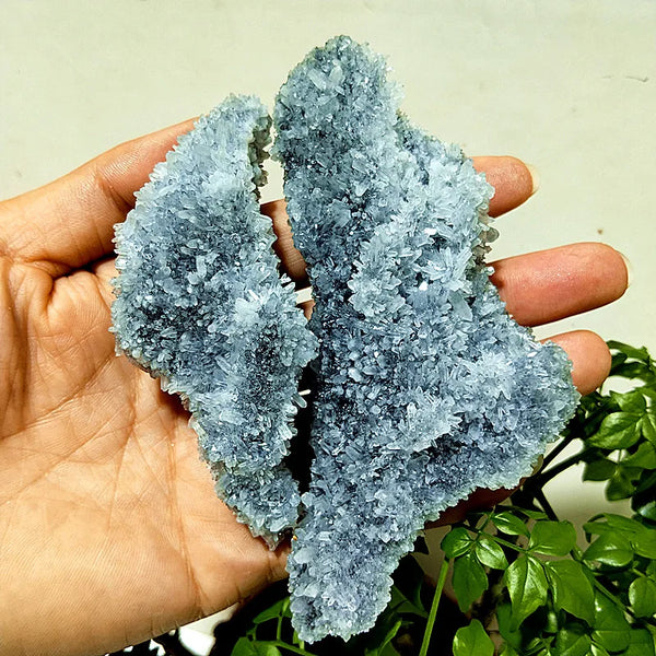 Purple Chrysanthemum Fluorite Crystal-ToShay.org