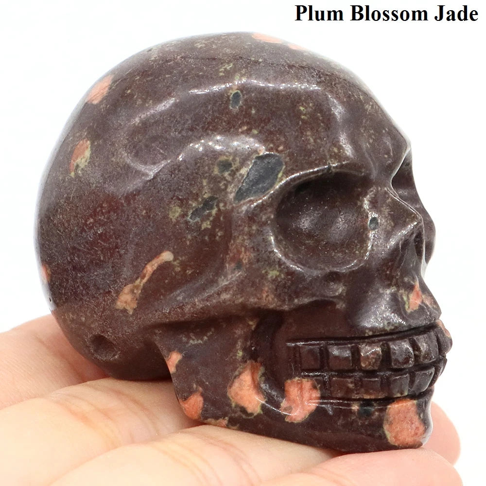Mixed Crystal Skull-ToShay.org