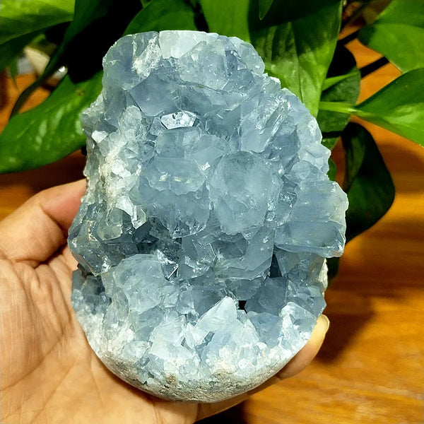 Blue Celestine Geode Crystal-ToShay.org