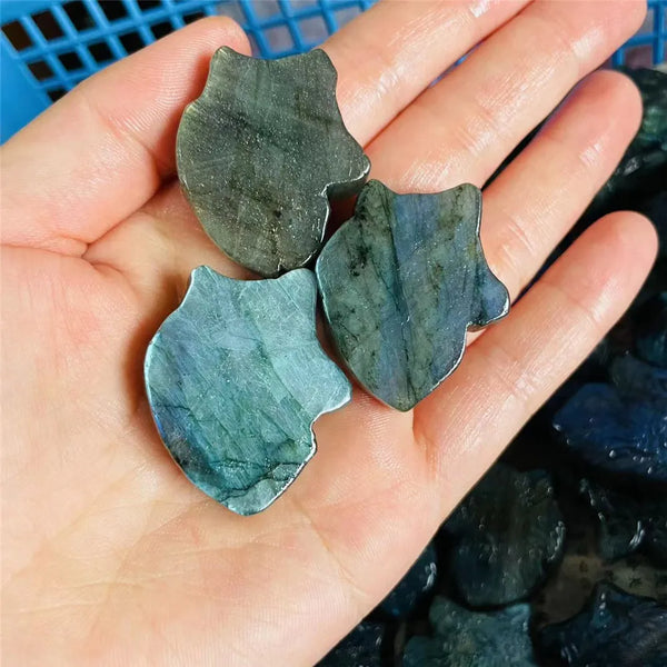 Blue Labradorite Wolf Head-ToShay.org
