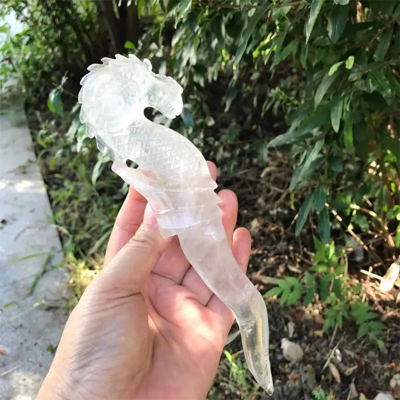 Clear Quartz Seahorse-ToShay.org