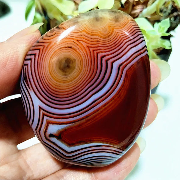 Red Lace Sardonyx Agate-ToShay.org