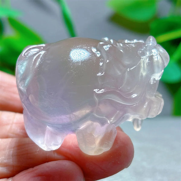 Rainbow Fluorite Dragon Turtle-ToShay.org