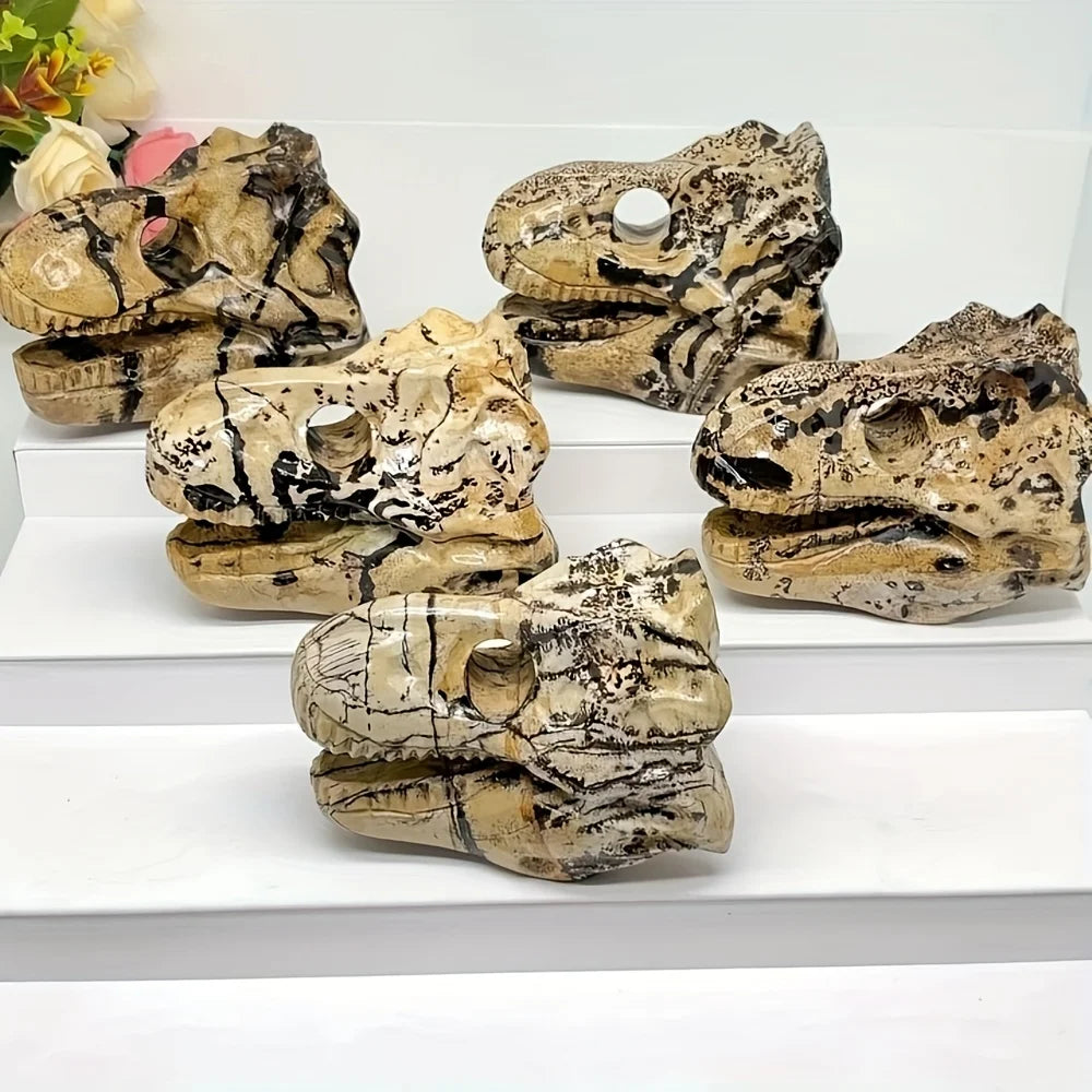 Yellow Picture Stone Dinosaur Skull-ToShay.org