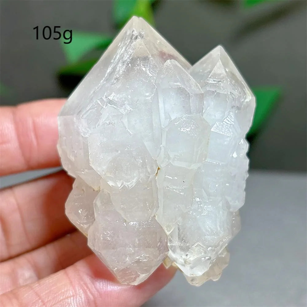 Clear Lotus Backbone Quartz Cluster-ToShay.org