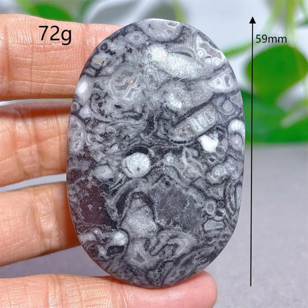 Black White Shellstone-ToShay.org