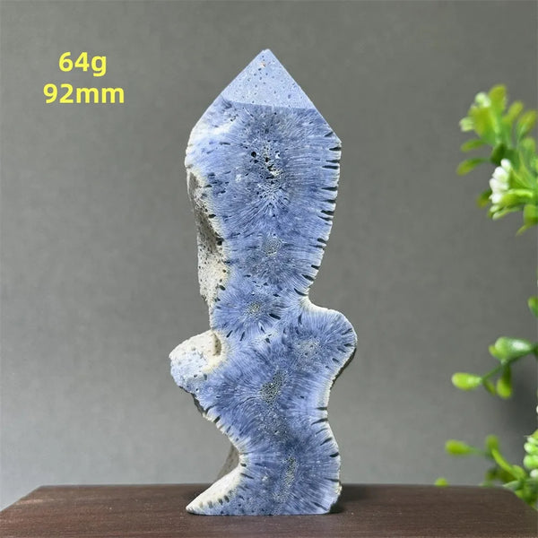 Blue Coral Crystal-ToShay.org