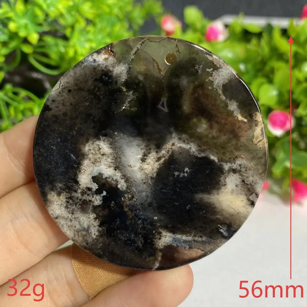 Black Agate Slice-ToShay.org