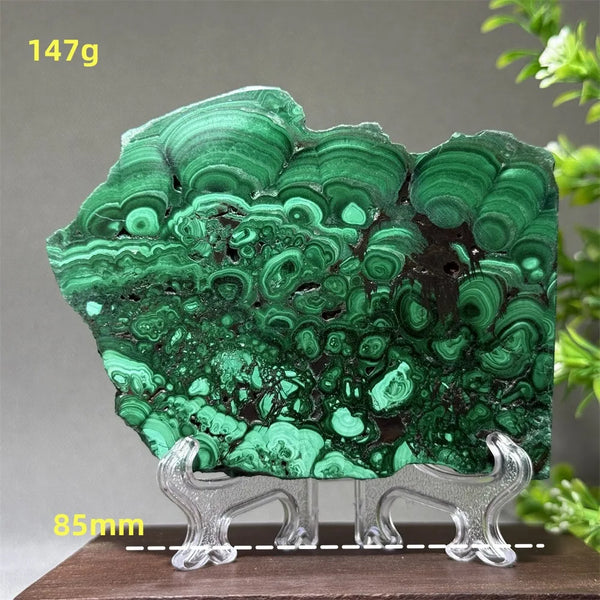 Green Malachite Slice-ToShay.org