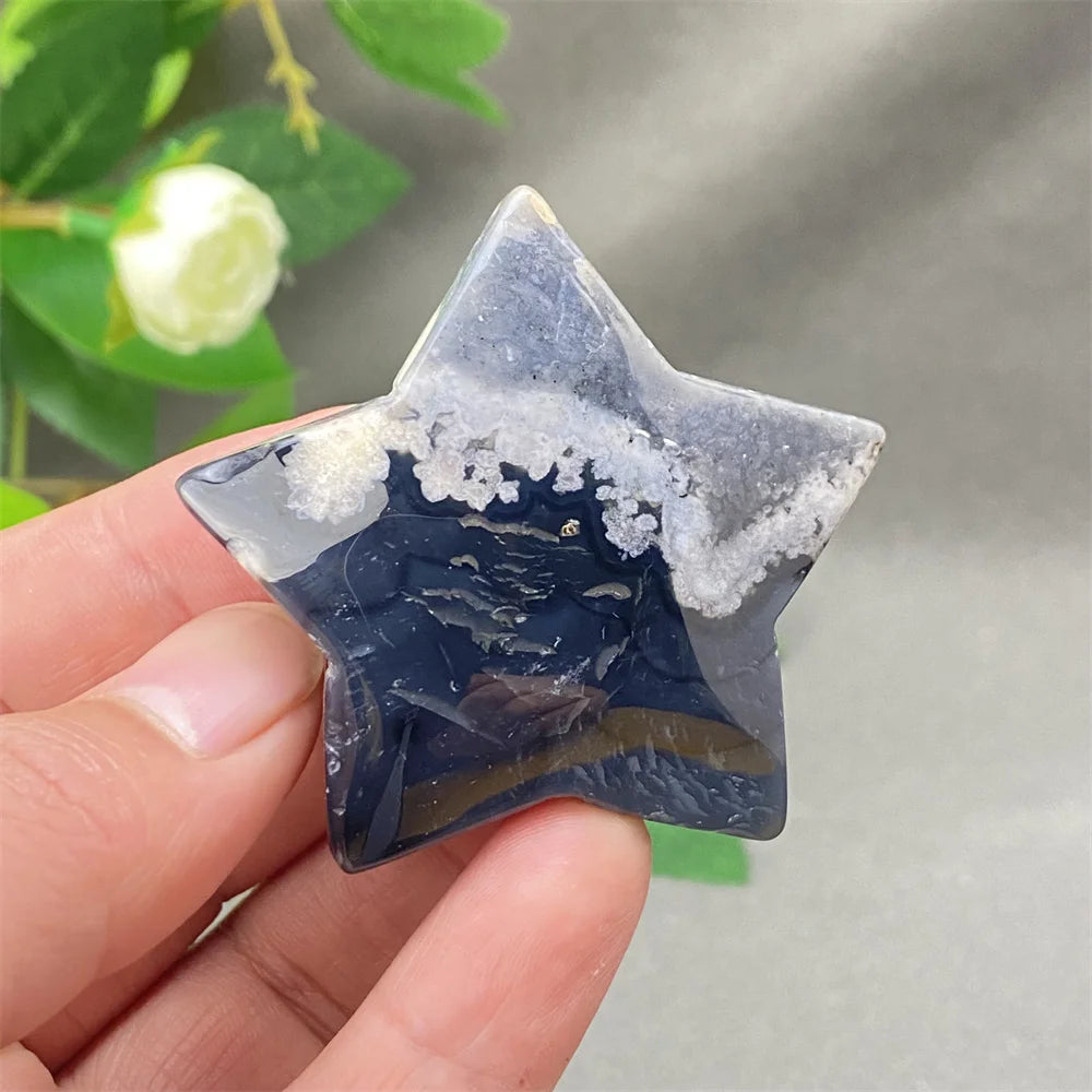 Black Cherry Blossom Agate-ToShay.org
