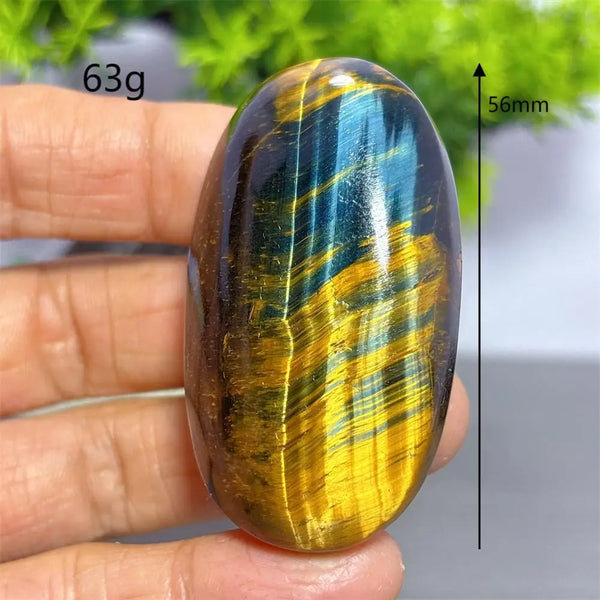 Blue Yellow Tiger Eye Stone-ToShay.org