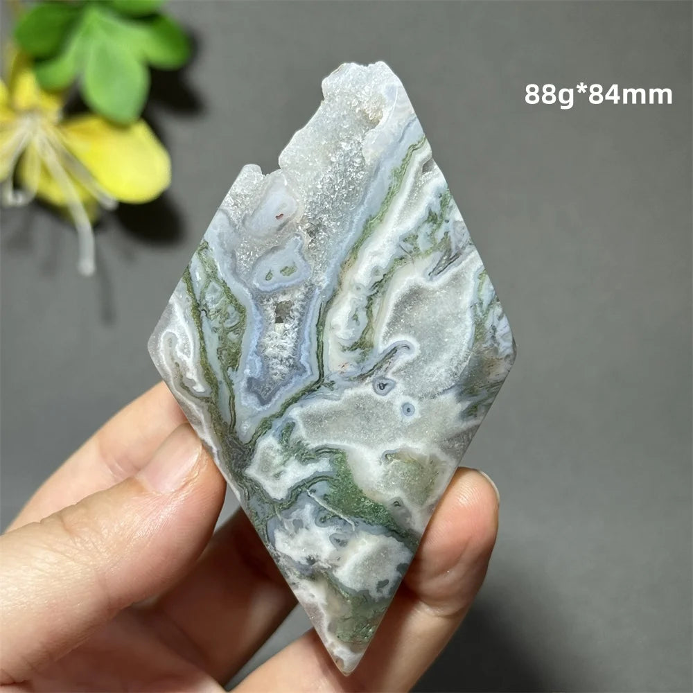 Green Aquatic Plant Agate-ToShay.org